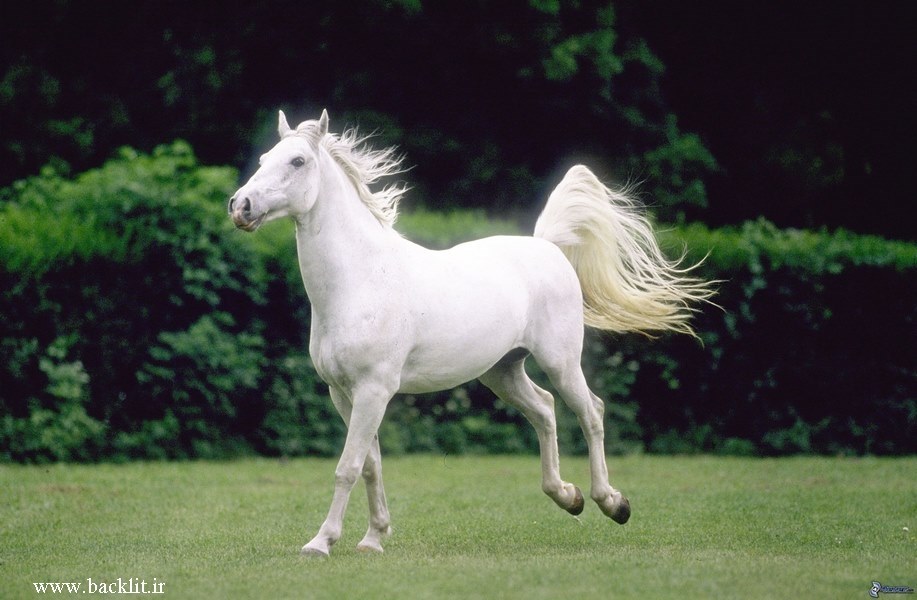 7548